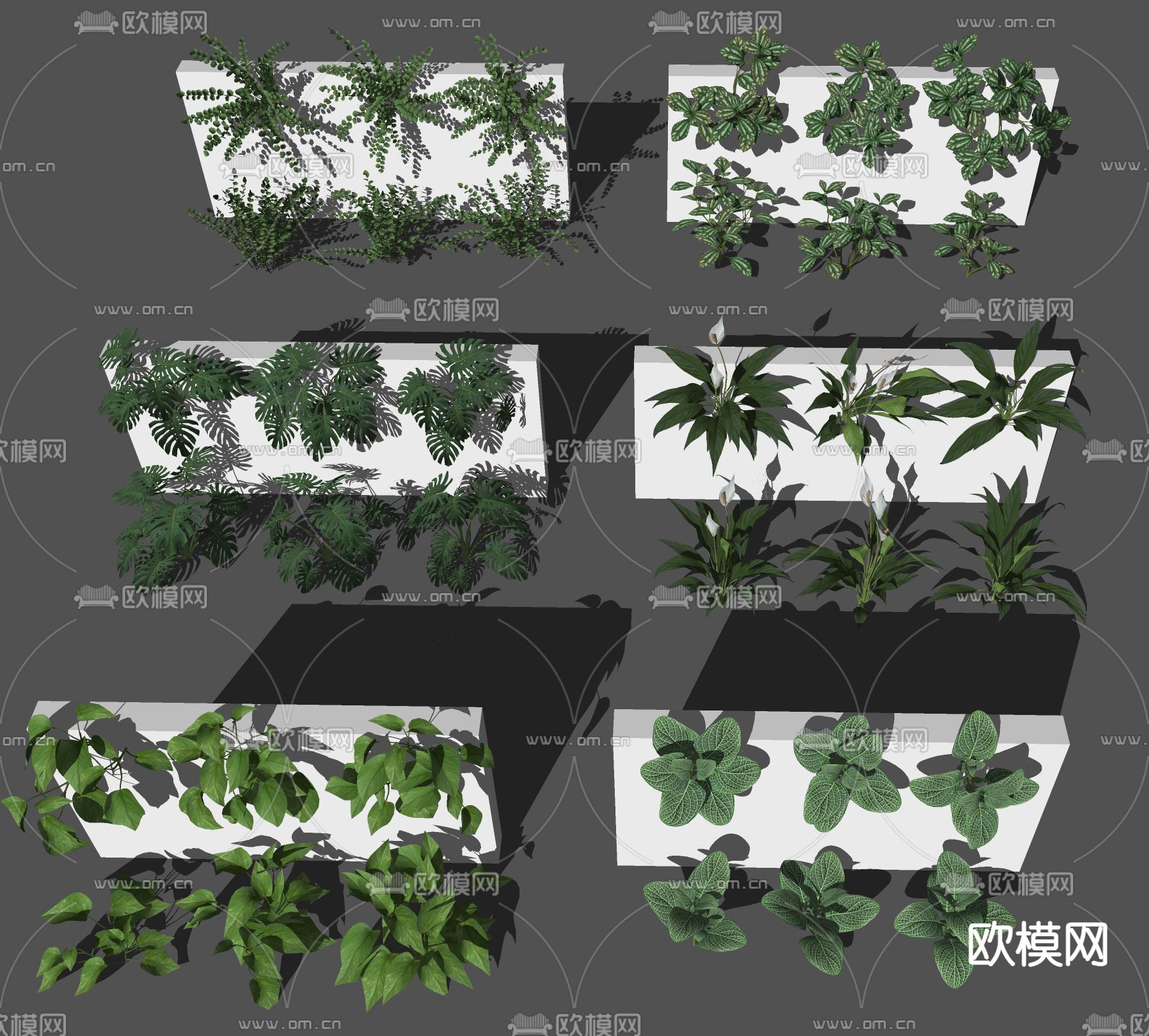 植物墙su模型下载（渲染图1）