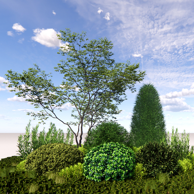  灌木球 景观绿植 植物组合su模型 