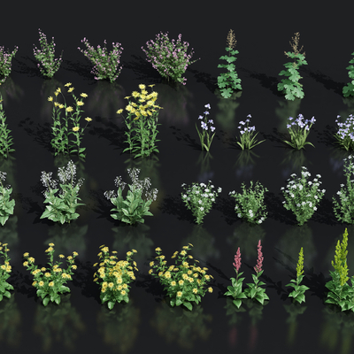  花卉花草 灌木su模型 