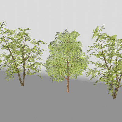  树木su模型 