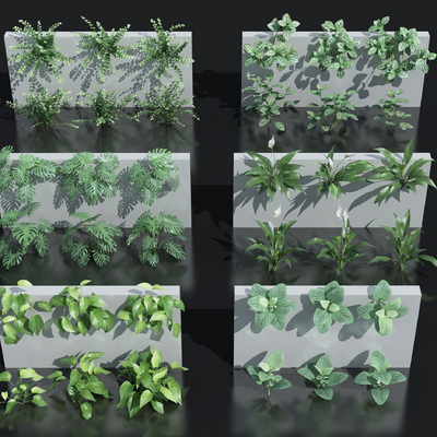 植物墙su模型 