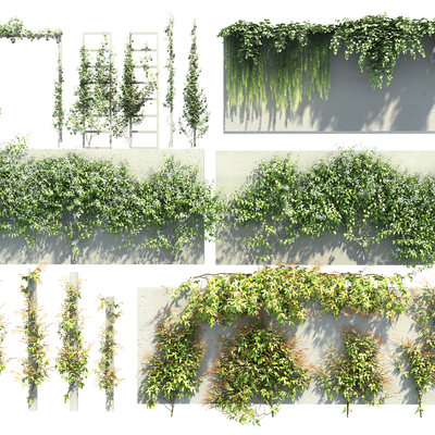  绿植藤蔓 爬山虎su模型 