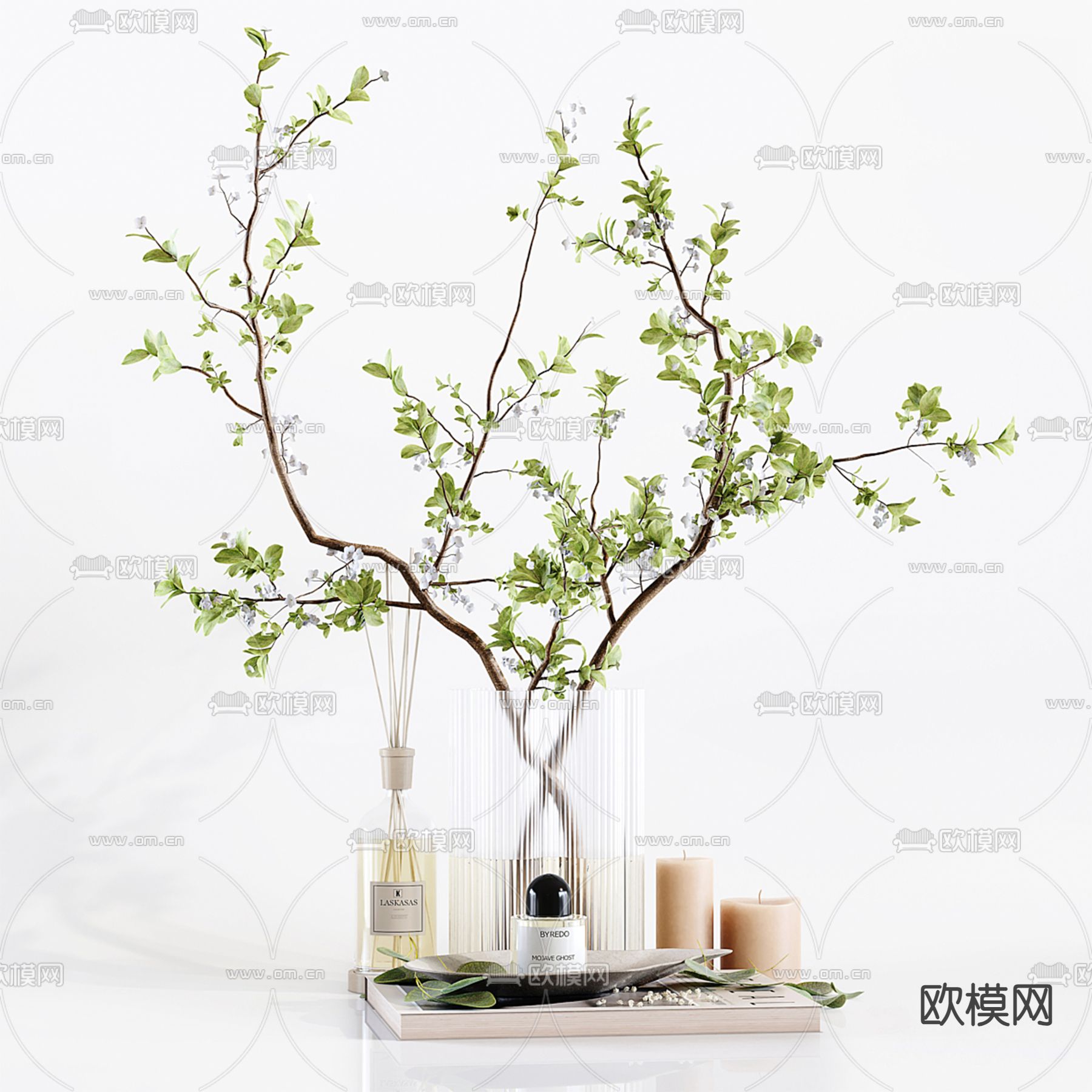 水培绿植 水生植物3d模型下载（渲染图1）