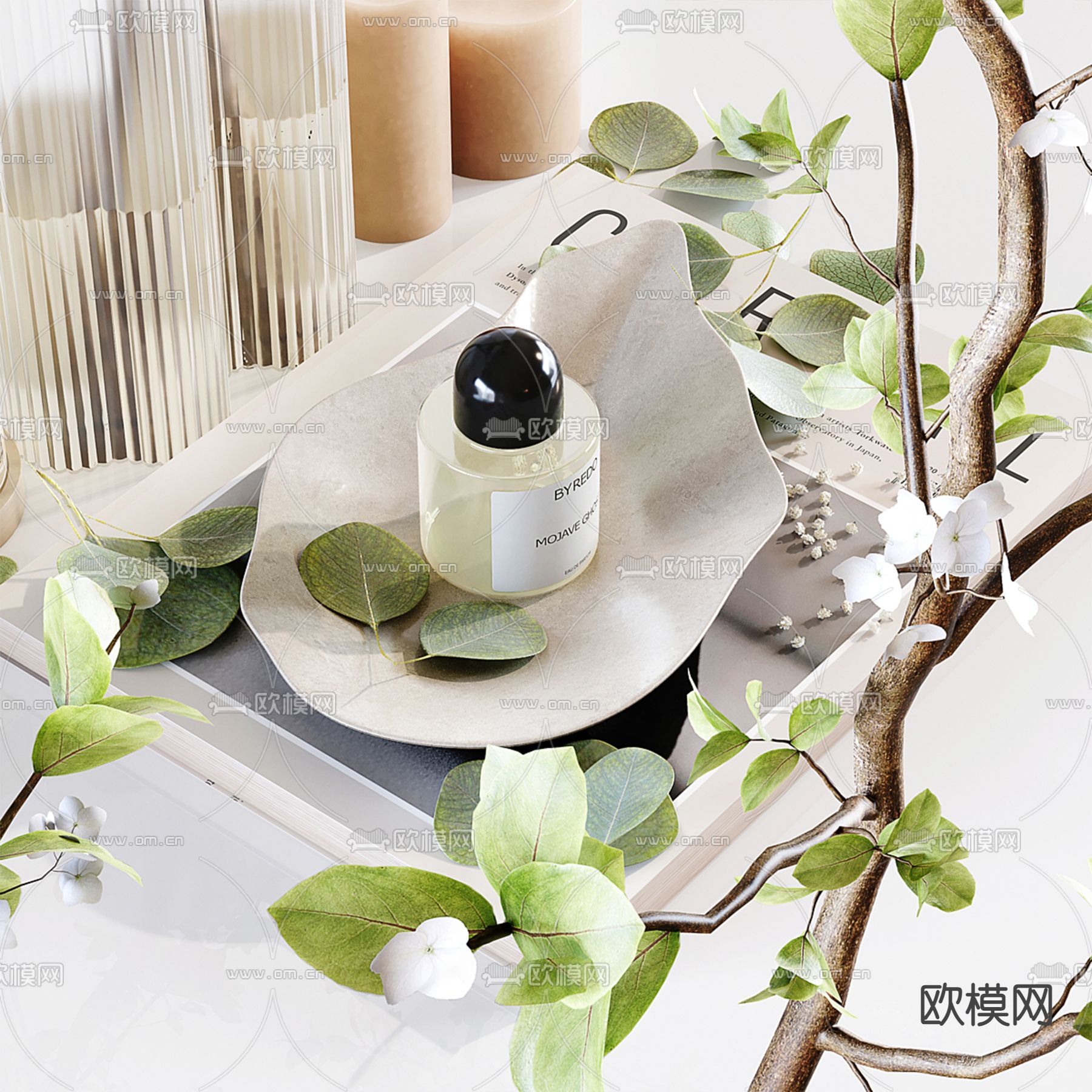 水培绿植 水生植物3d模型下载（渲染图3）