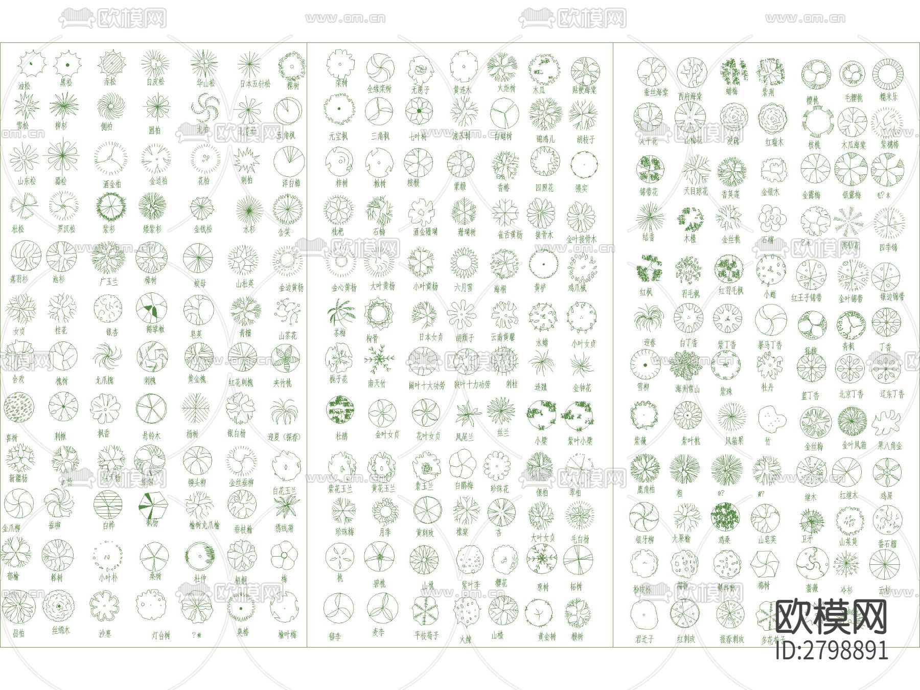 景观植物灌木乔木图例cad图库下载（渲染图3）