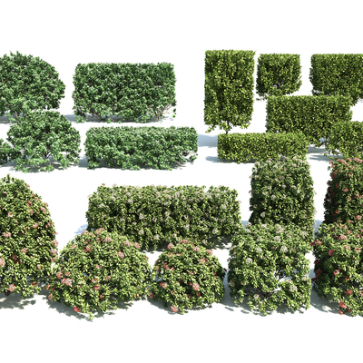  球形灌木su模型 