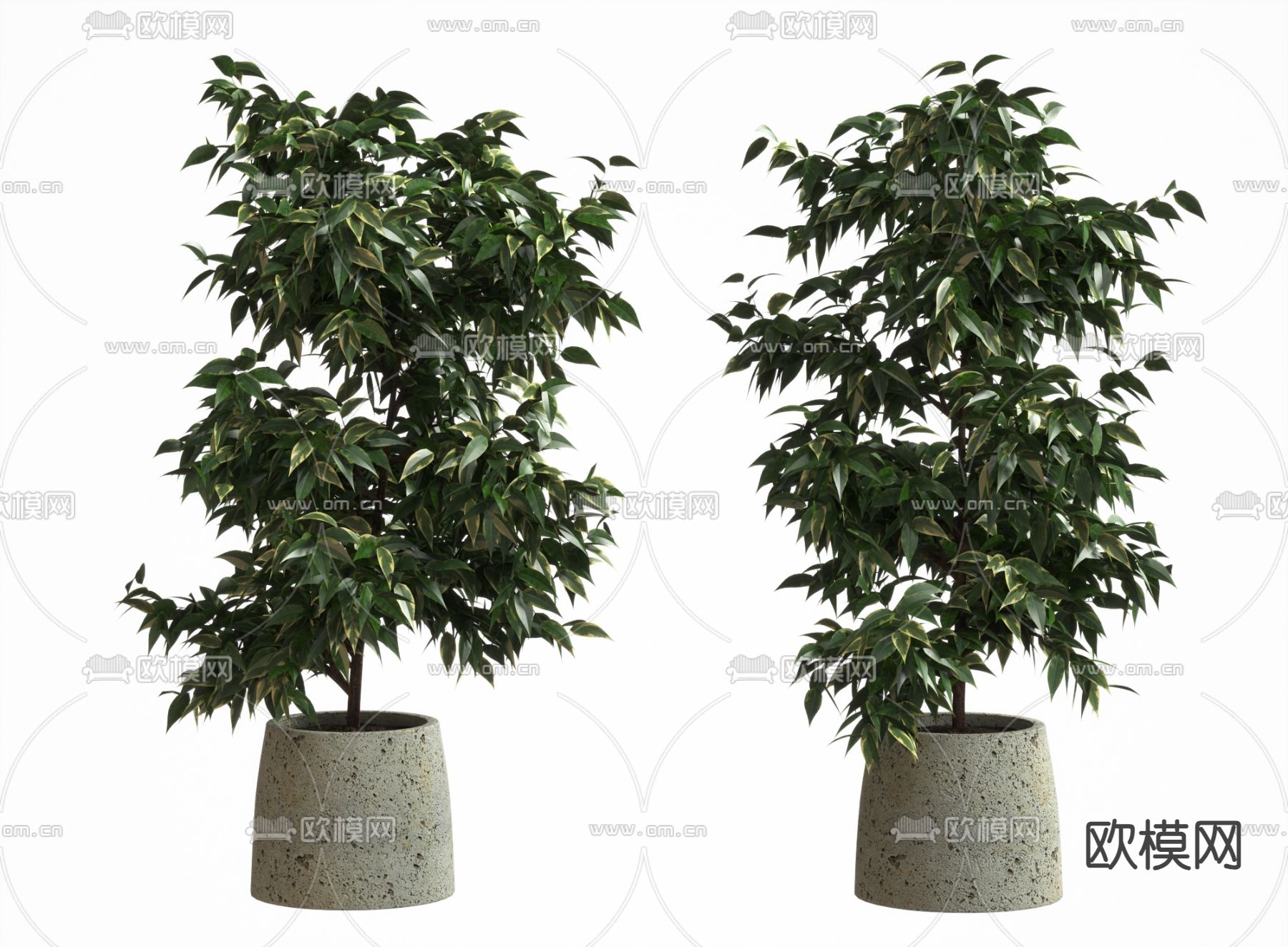 盆景 盆栽su模型下载（渲染图1）