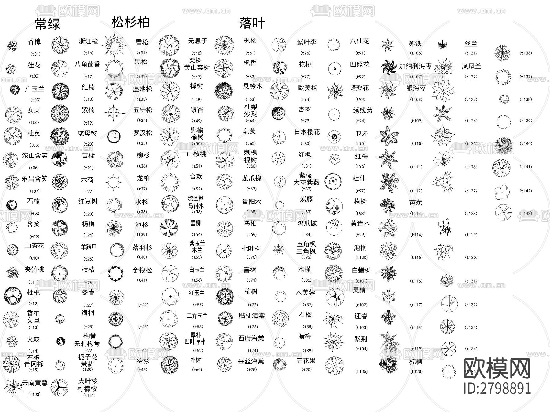 景观植物灌木乔木图例cad图库下载（渲染图8）