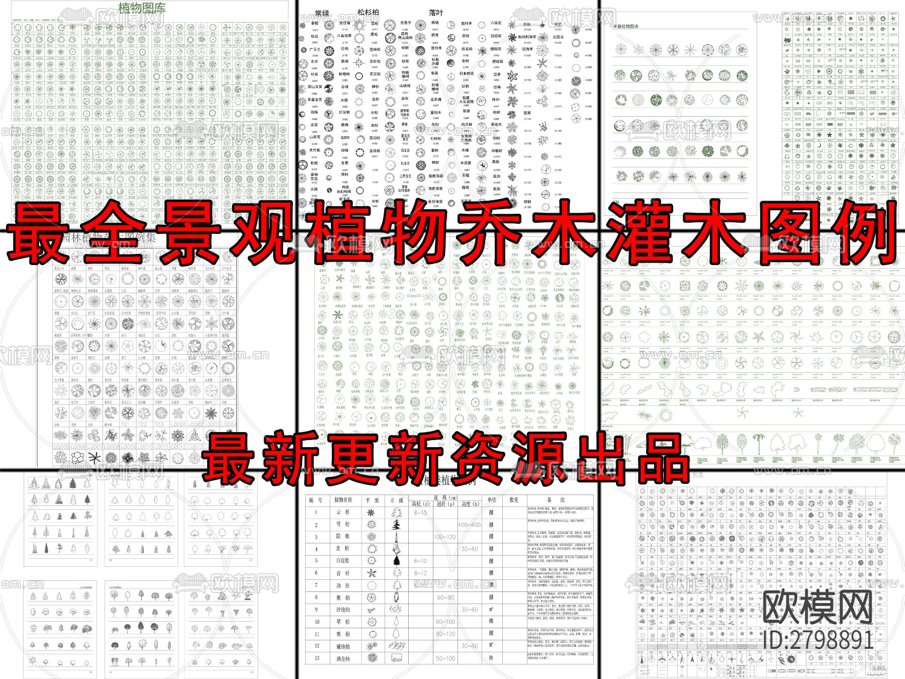 景观植物灌木乔木图例cad图库下载（渲染图1）