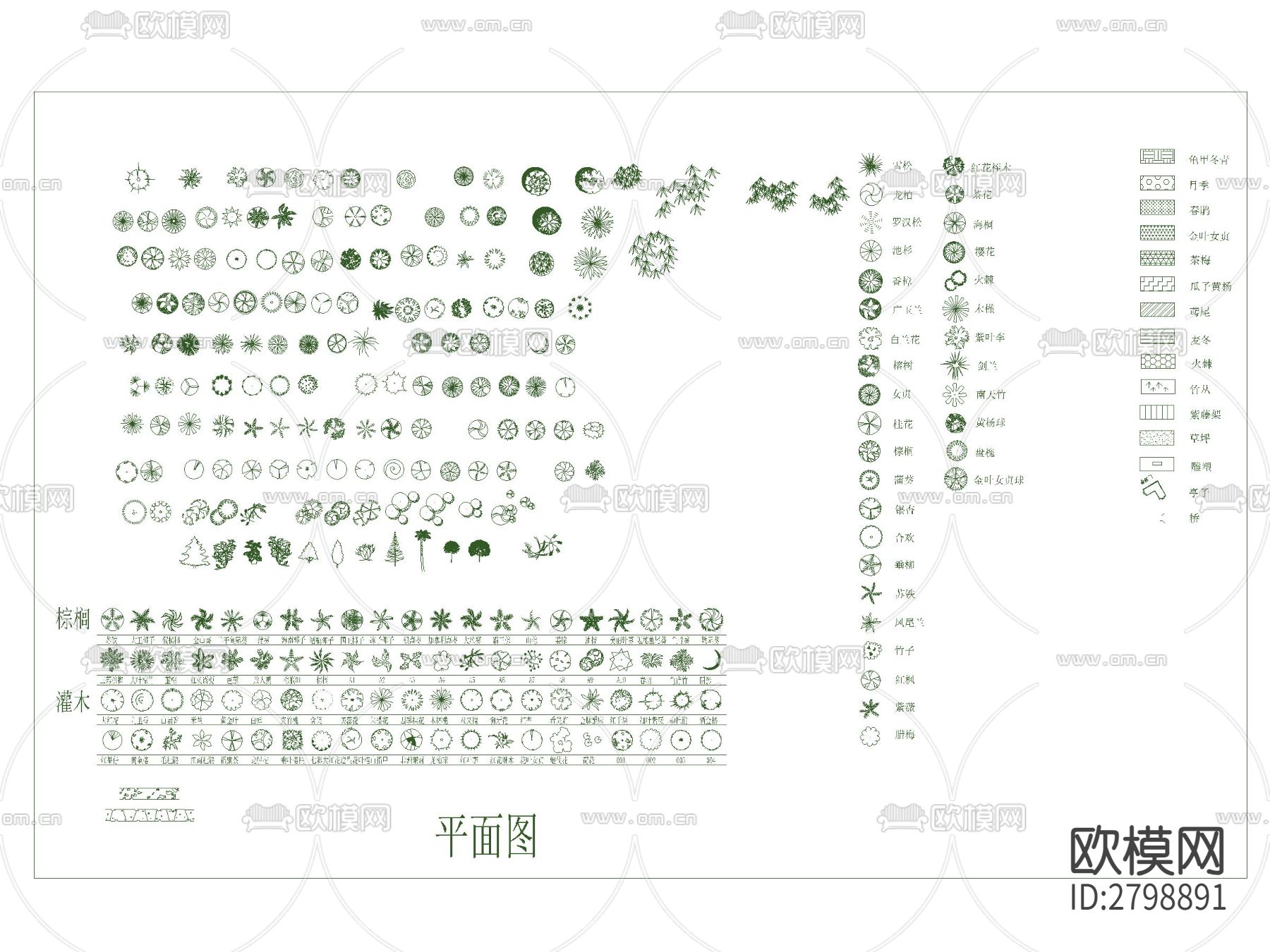 景观植物灌木乔木图例cad图库下载（渲染图5）