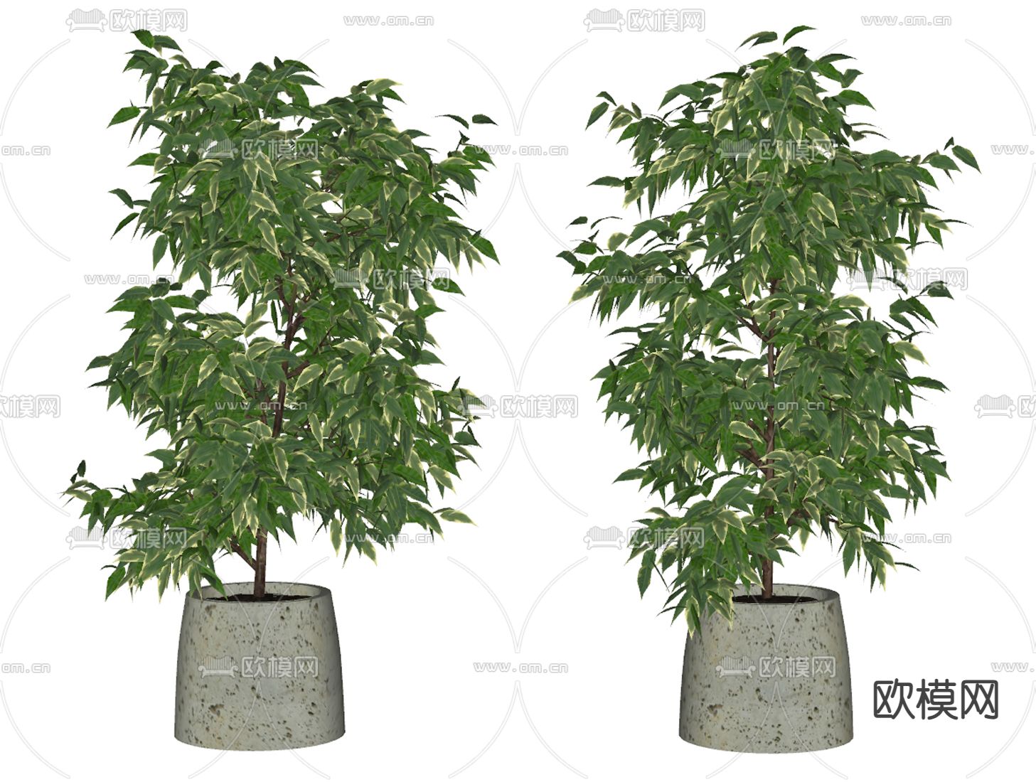 盆景 盆栽su模型下载（渲染图2）