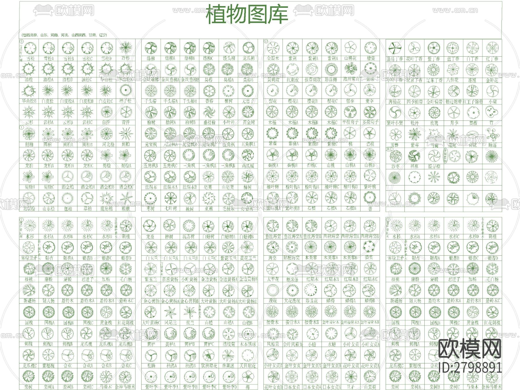 景观植物灌木乔木图例cad图库下载（渲染图2）