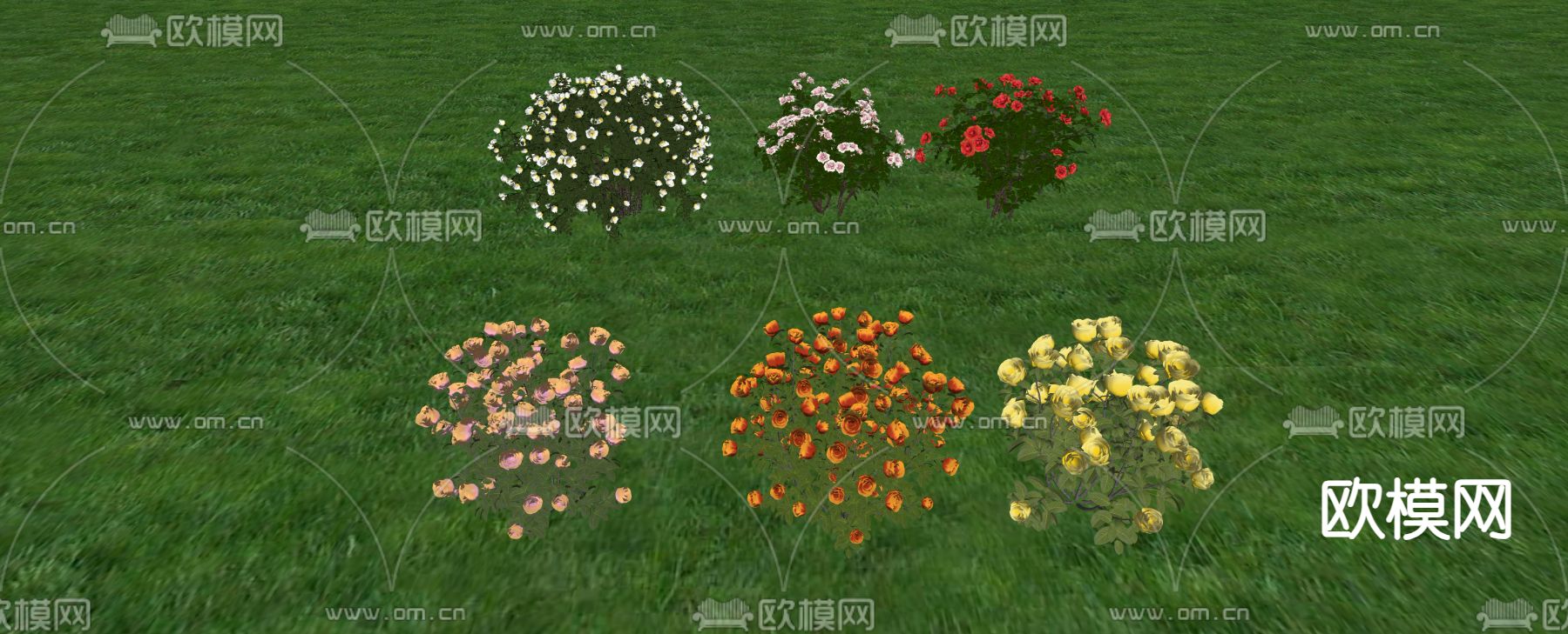 植物花卉 月季花su模型