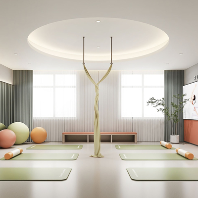 现代瑜伽室 健身房su模型 