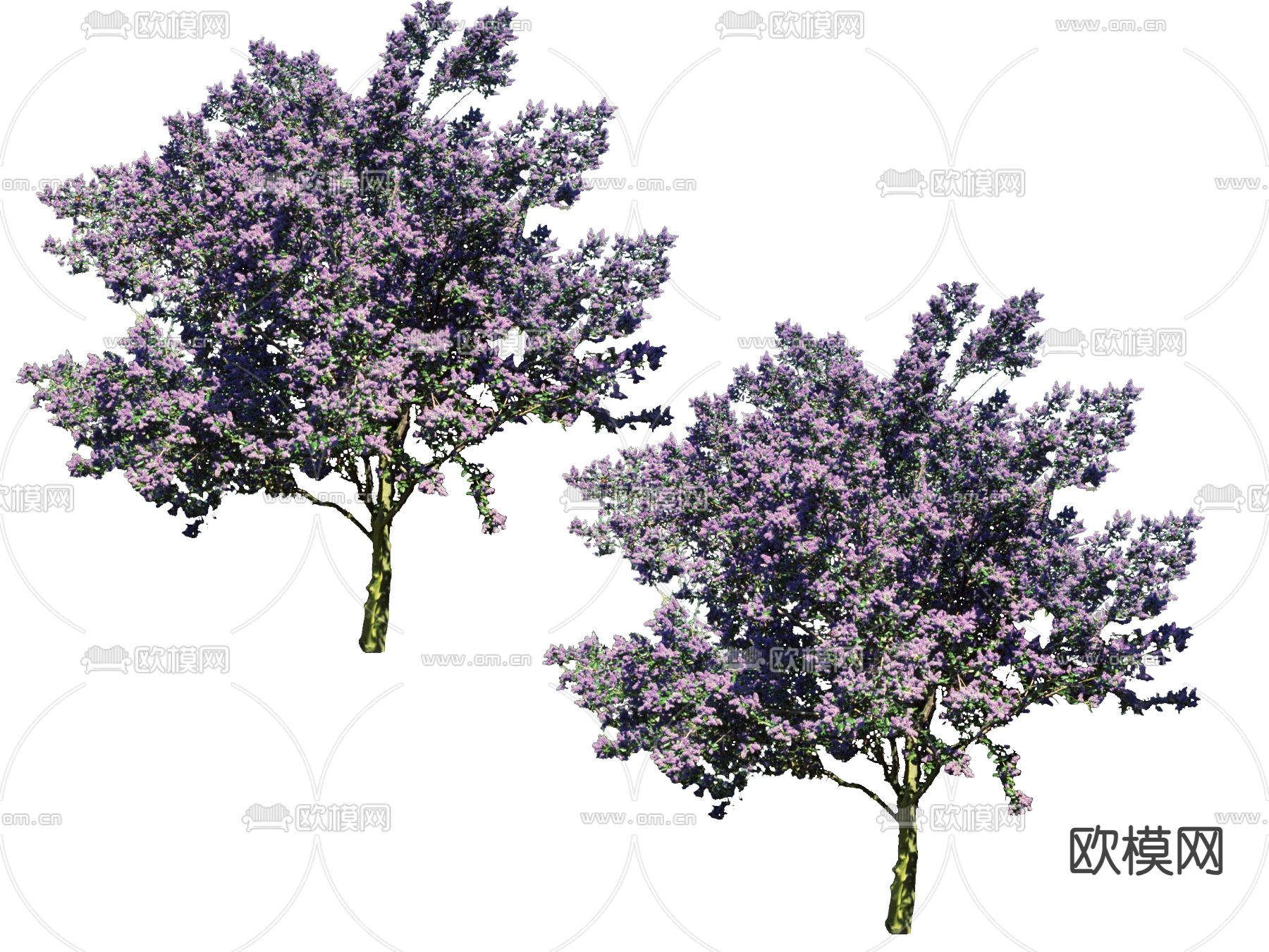 大树su模型下载（渲染图1）