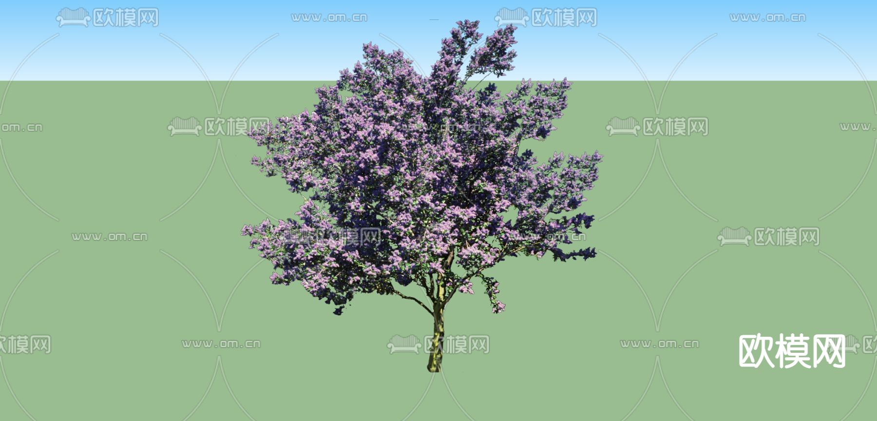 大树su模型下载（渲染图2）