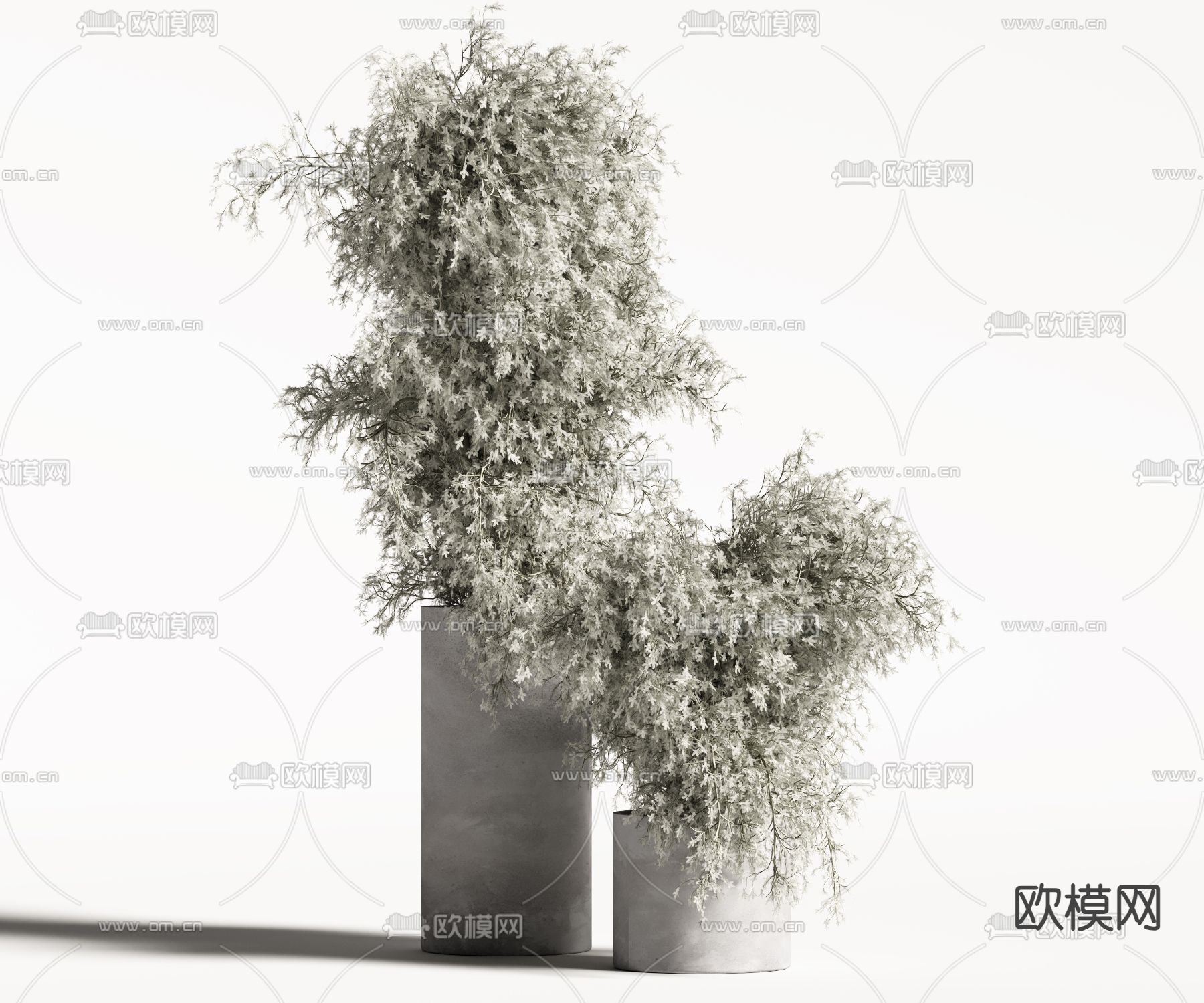 花瓶 花艺 干花 插花3d模型下载