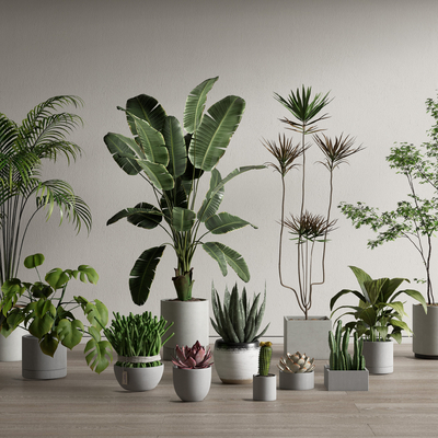  绿植盆栽su模型 