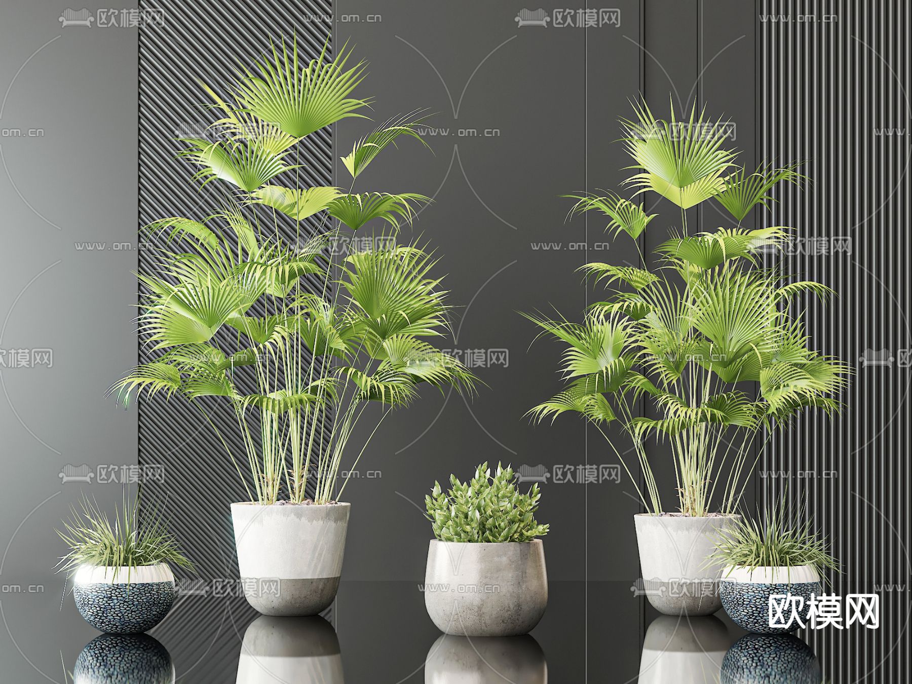 盆栽 盆景 绿植 散尾葵3d模型下载