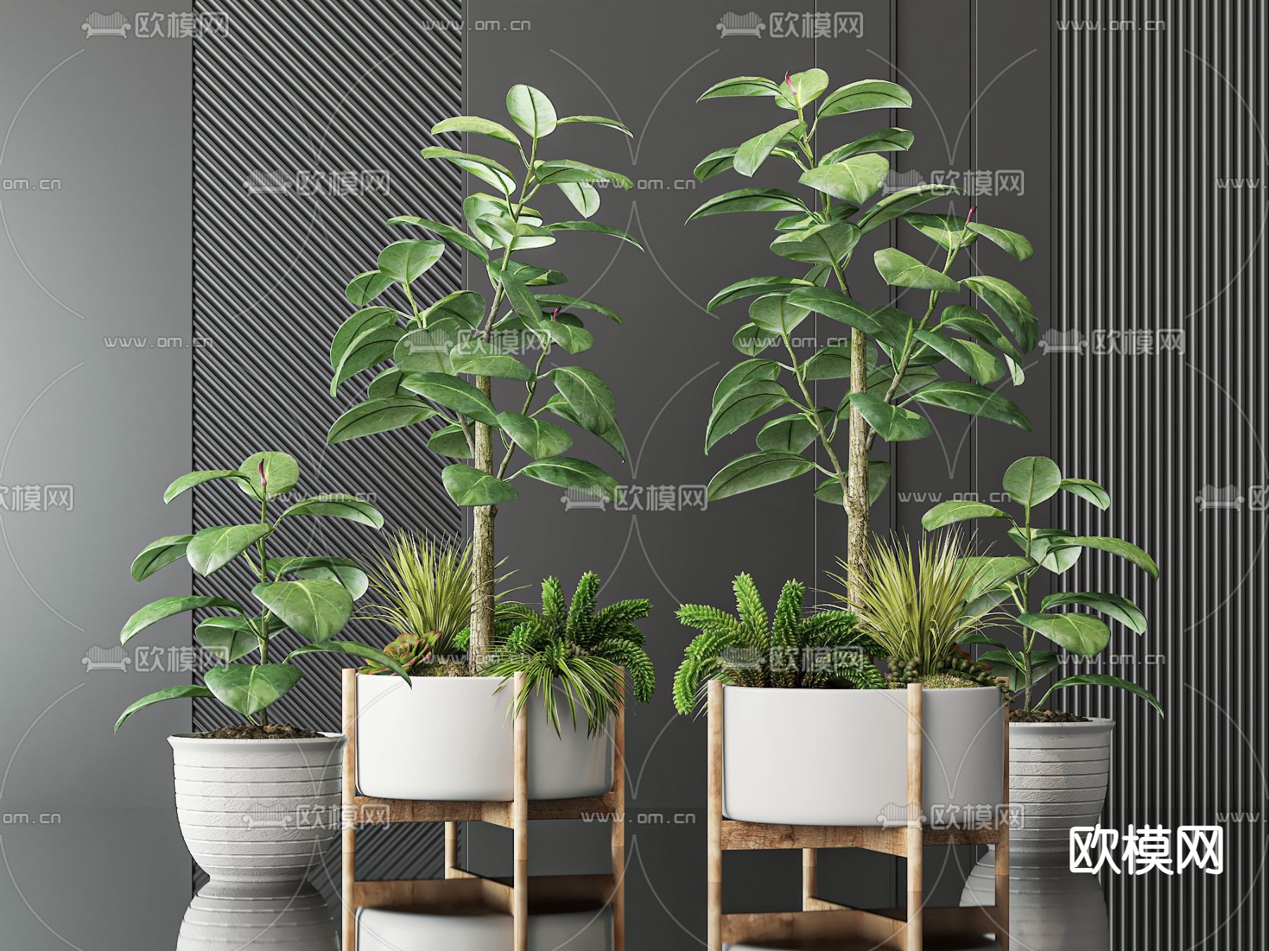 盆栽 盆景 绿植3d模型下载