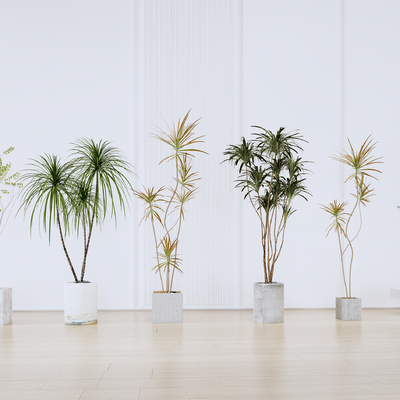 现代盆栽 盆景su模型