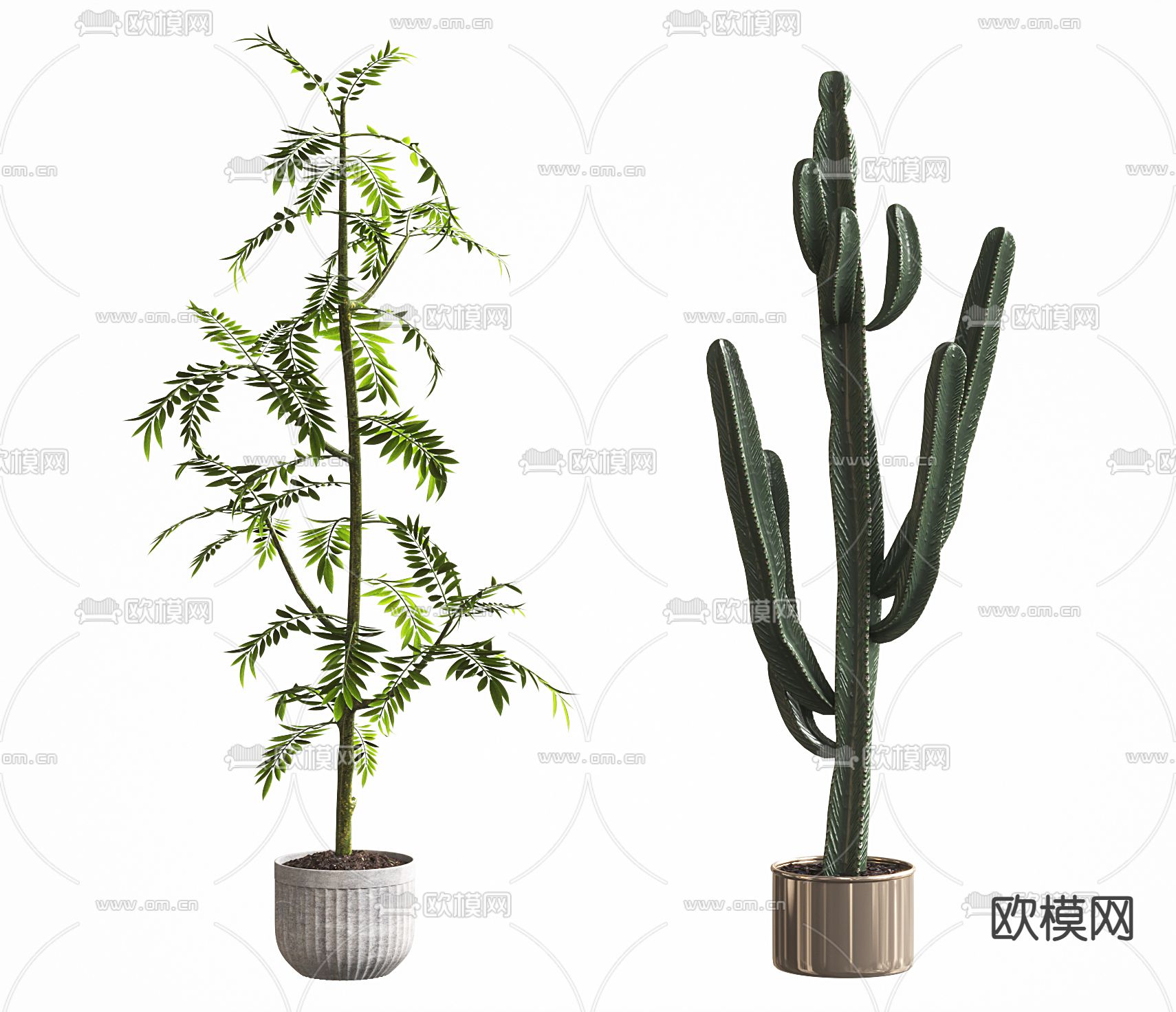 仙人掌盆栽 盆景3d模型下载_ID14249701_3dmax免费模型-欧模网