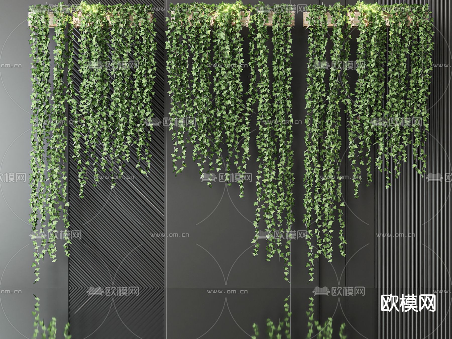 藤蔓 攀爬植物3d模型下载