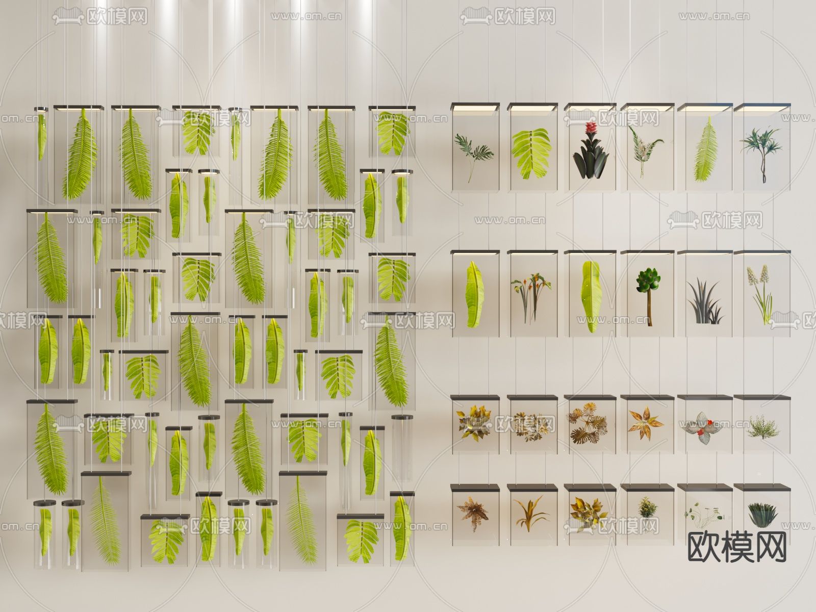 植物标本 吊篮 挂饰3d模型下载