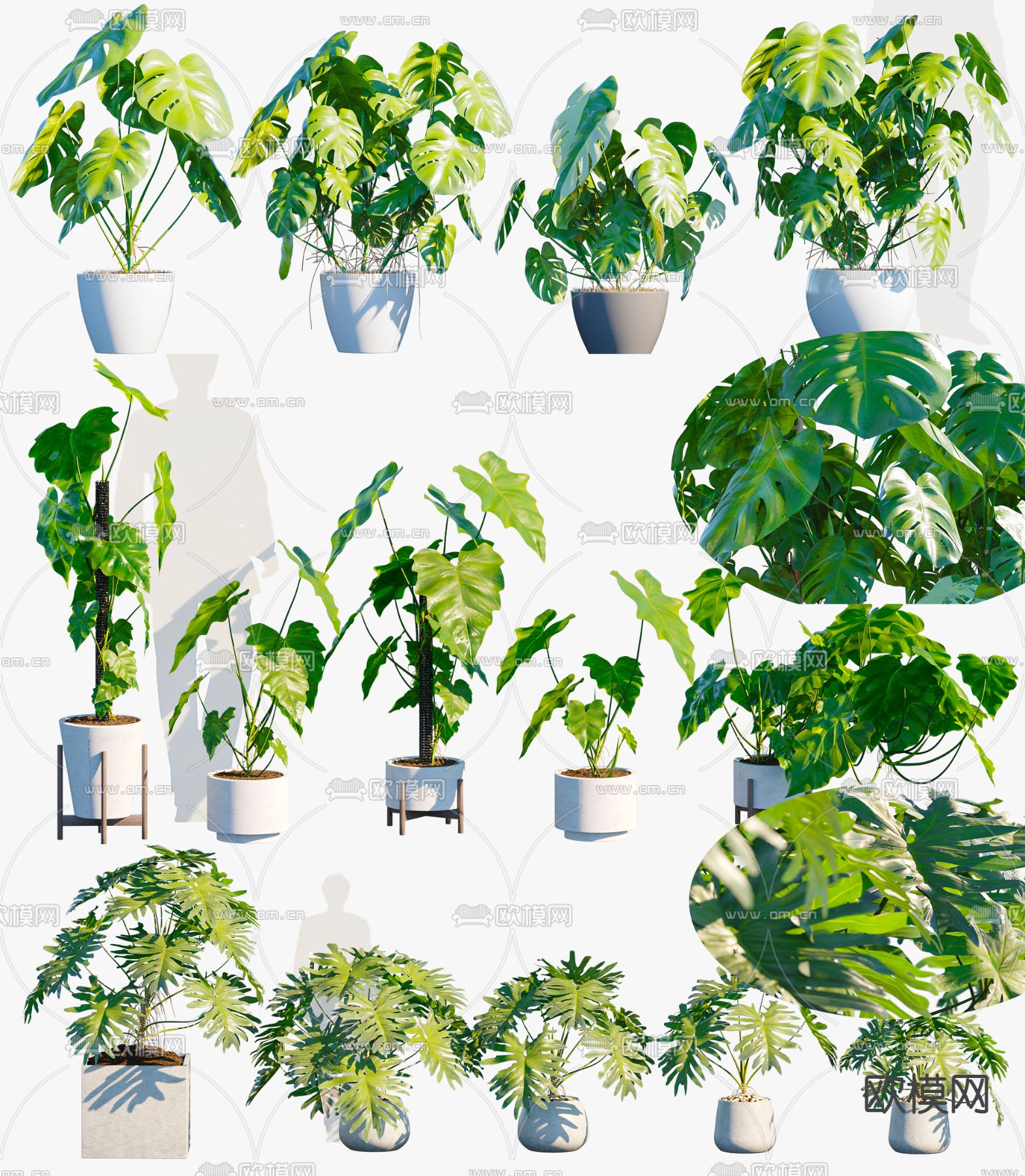 现代盆栽 盆景3d模型下载