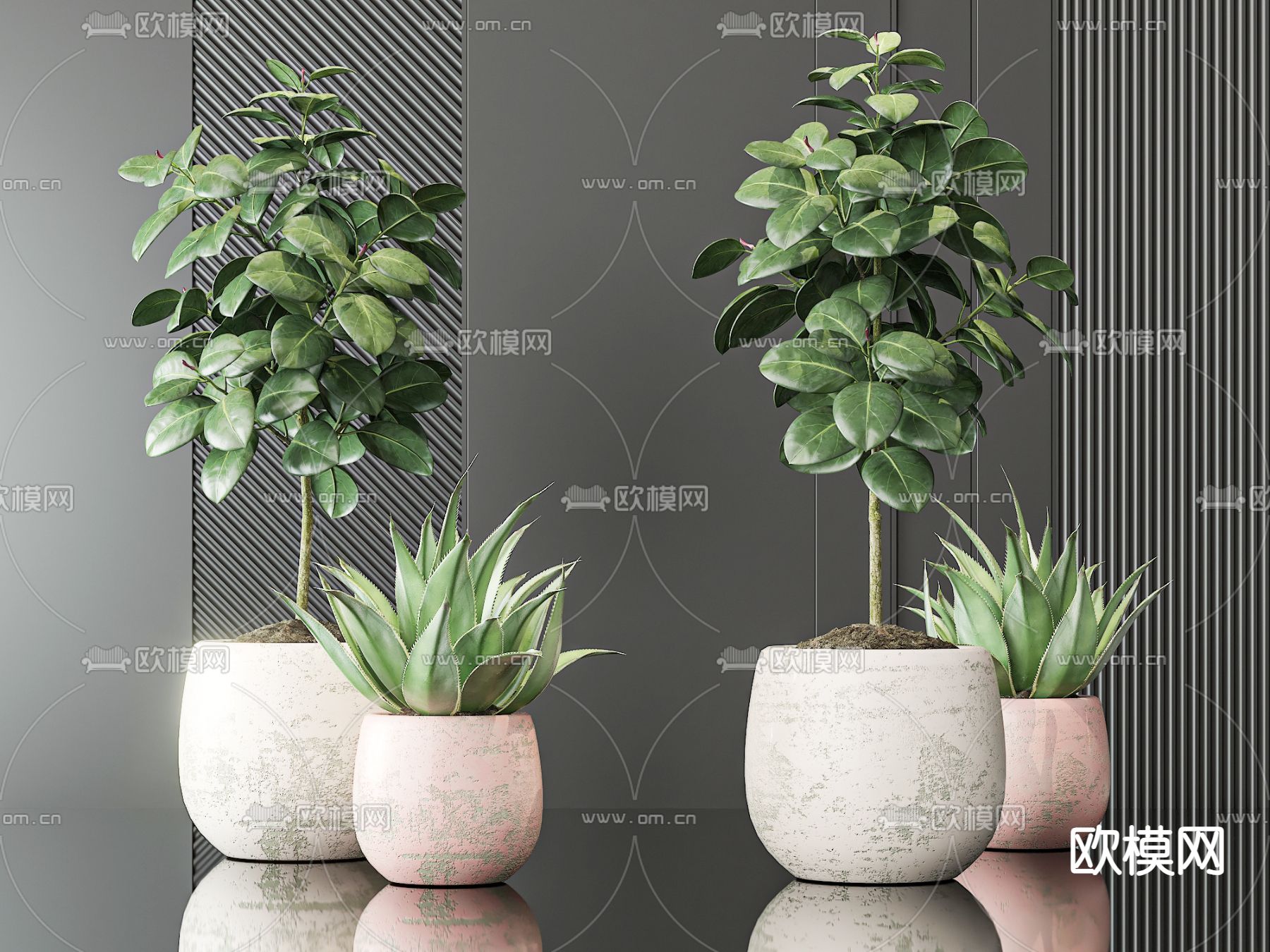 盆栽 盆景3d模型下载