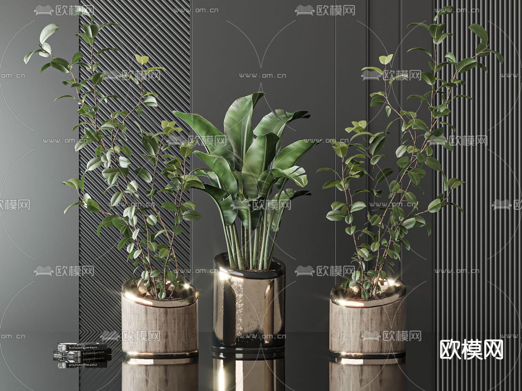 盆栽 盆景 芭蕉叶 柚叶3d模型下载