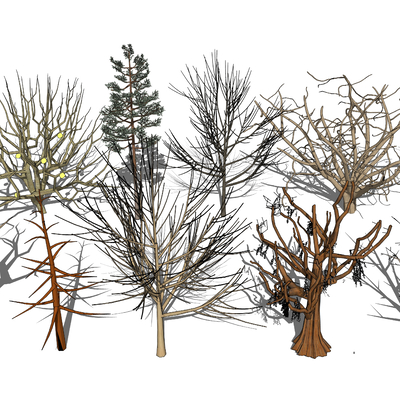  枯树 树杆 树枝su模型 