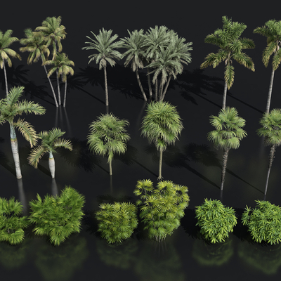 棕榈植物 椰子树 棕榈树su模型 