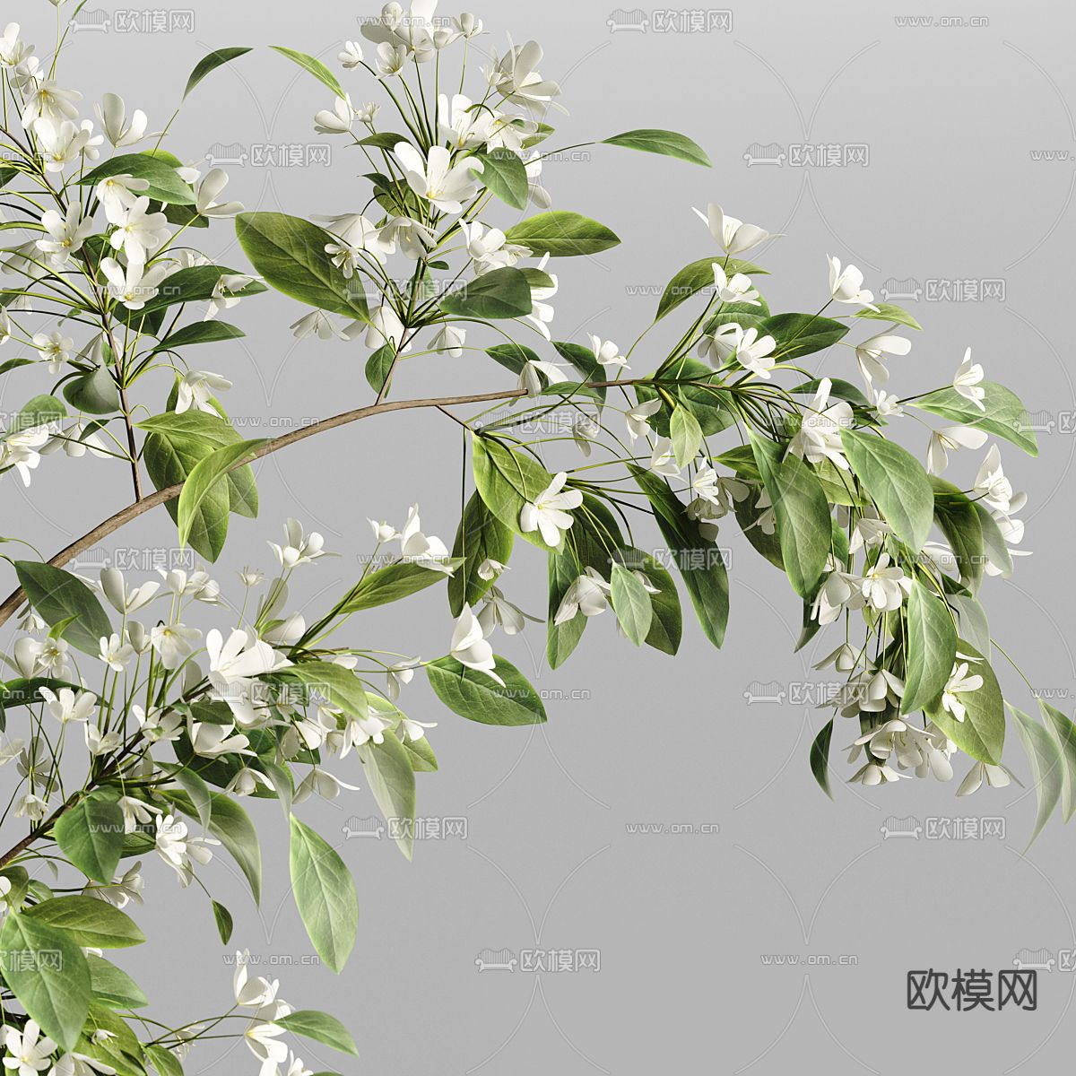 水生植物 水培绿植3d模型下载（渲染图3）