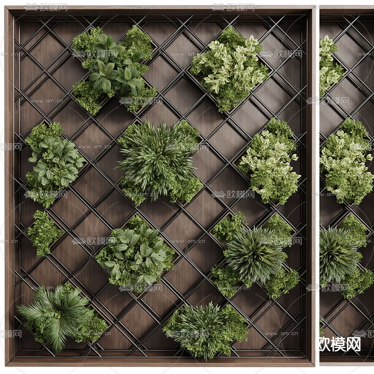 植物墙 绿植墙3d模型下载（渲染图1）