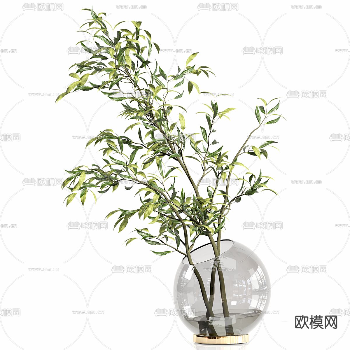 水生植物 水培绿植3d模型下载（渲染图2）