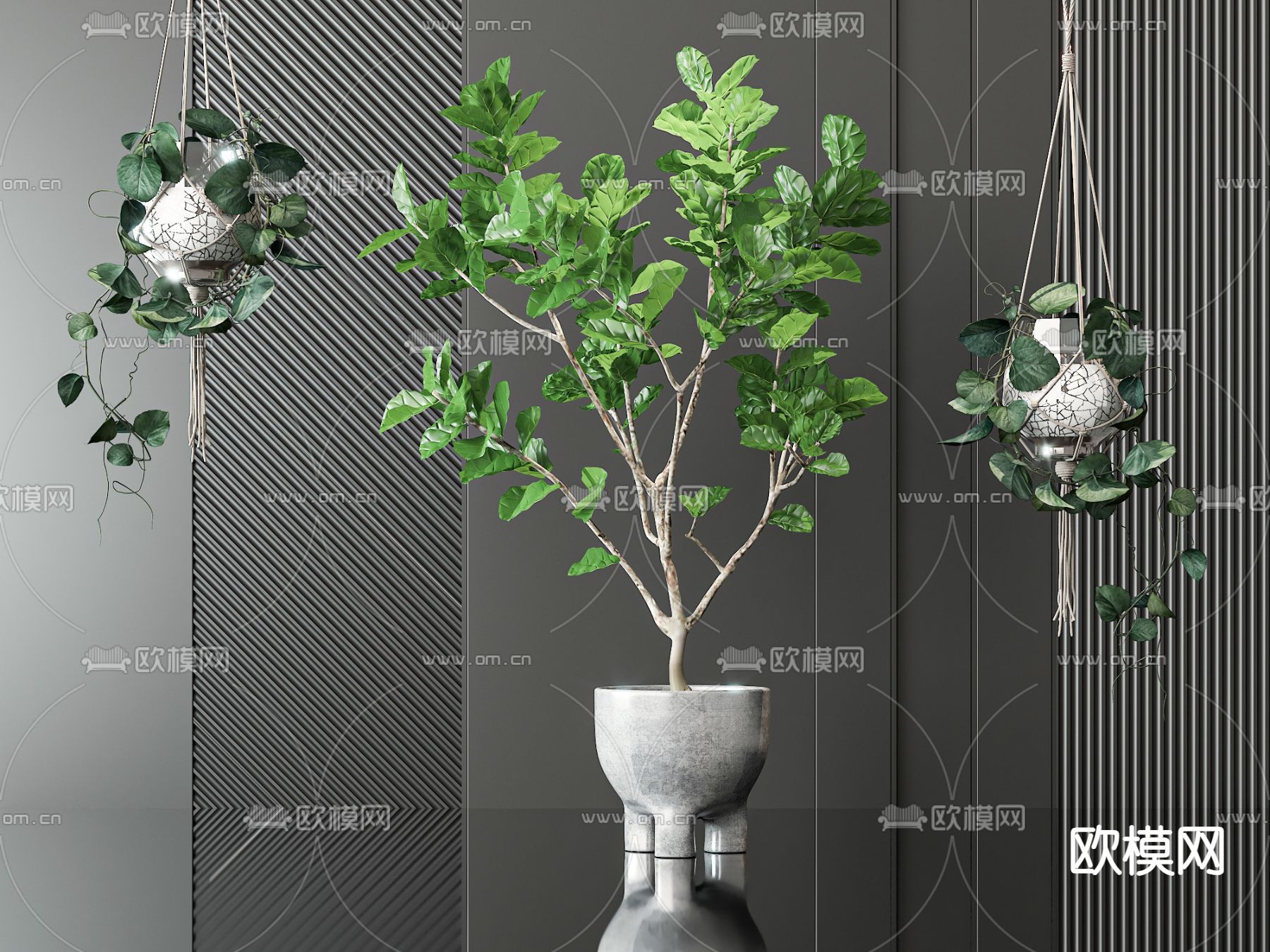 盆栽 盆景 吊篮3d模型下载