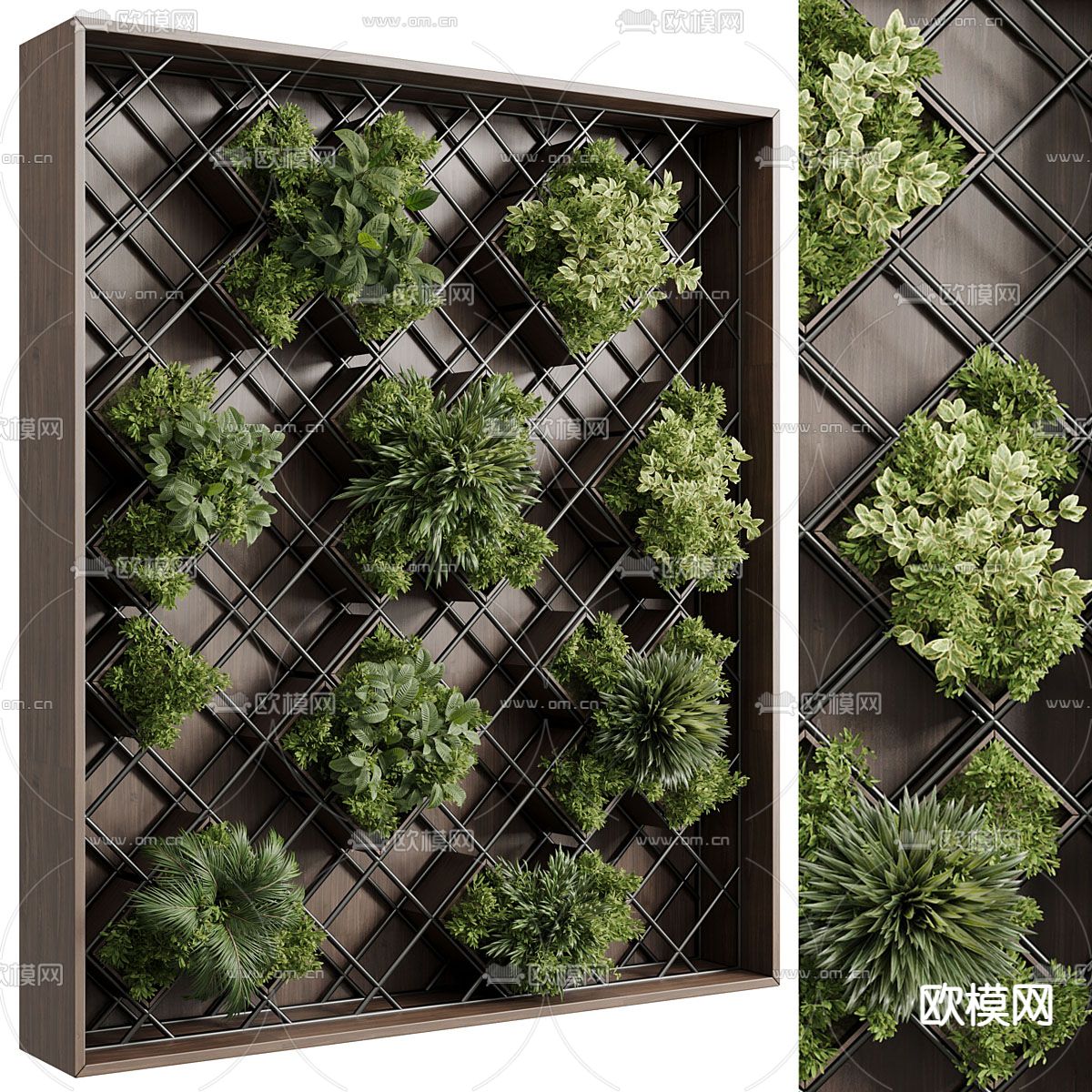 植物墙 绿植墙3d模型下载（渲染图3）