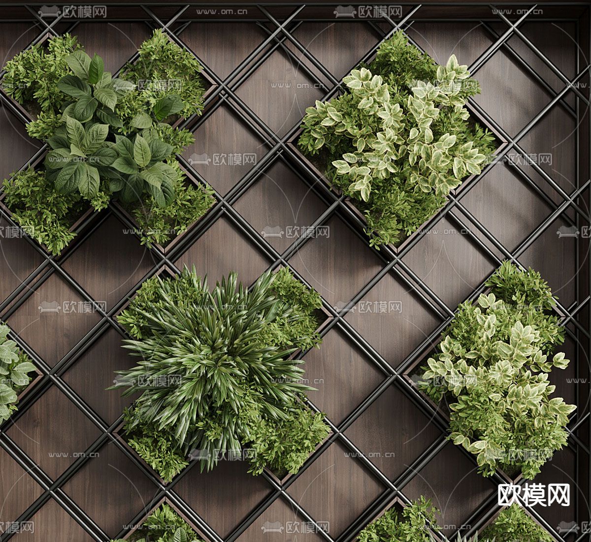 植物墙 绿植墙3d模型下载（渲染图2）
