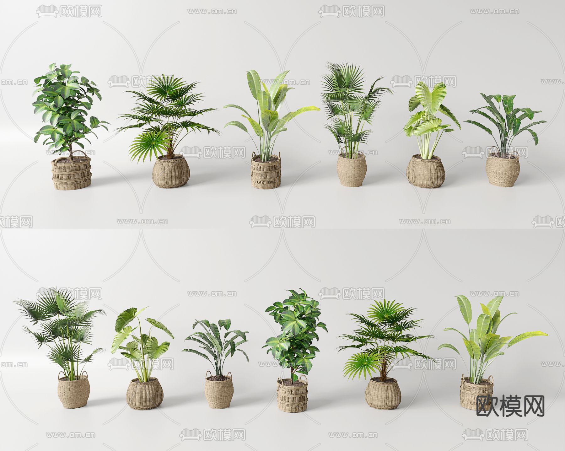 编织筐盆栽 盆景su模型下载（渲染图2）