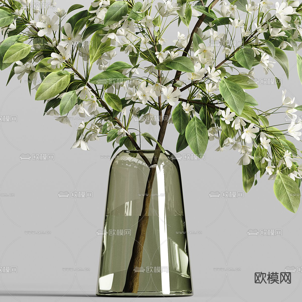 水生植物 水培绿植3d模型下载（渲染图2）