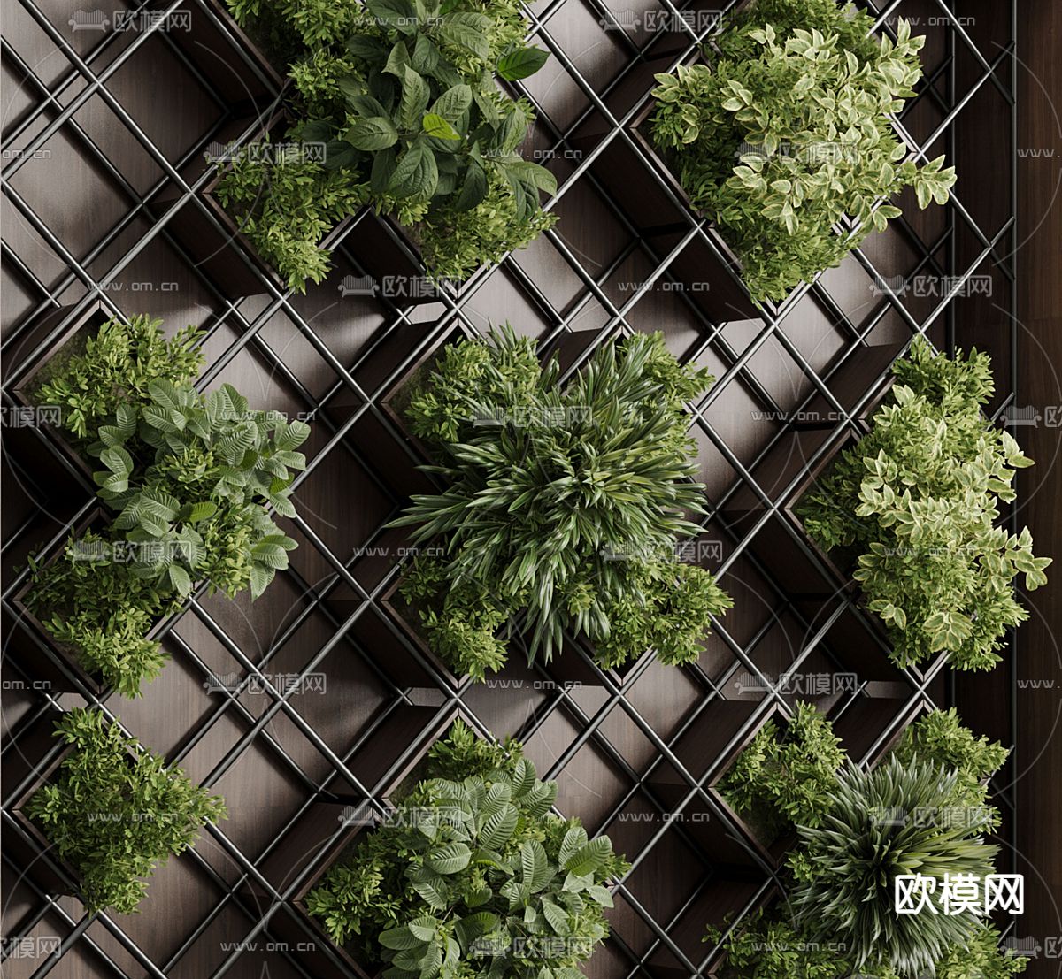 植物墙 绿植墙3d模型下载（渲染图4）