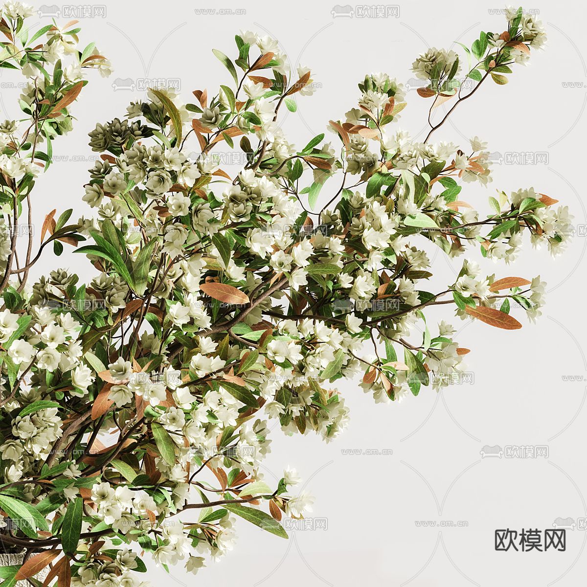 花瓶 花艺 花卉 插花3d模型下载（渲染图2）