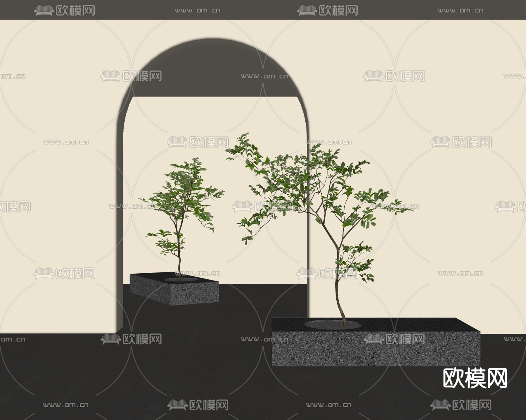 现代乔木 景观树su模型下载（渲染图2）