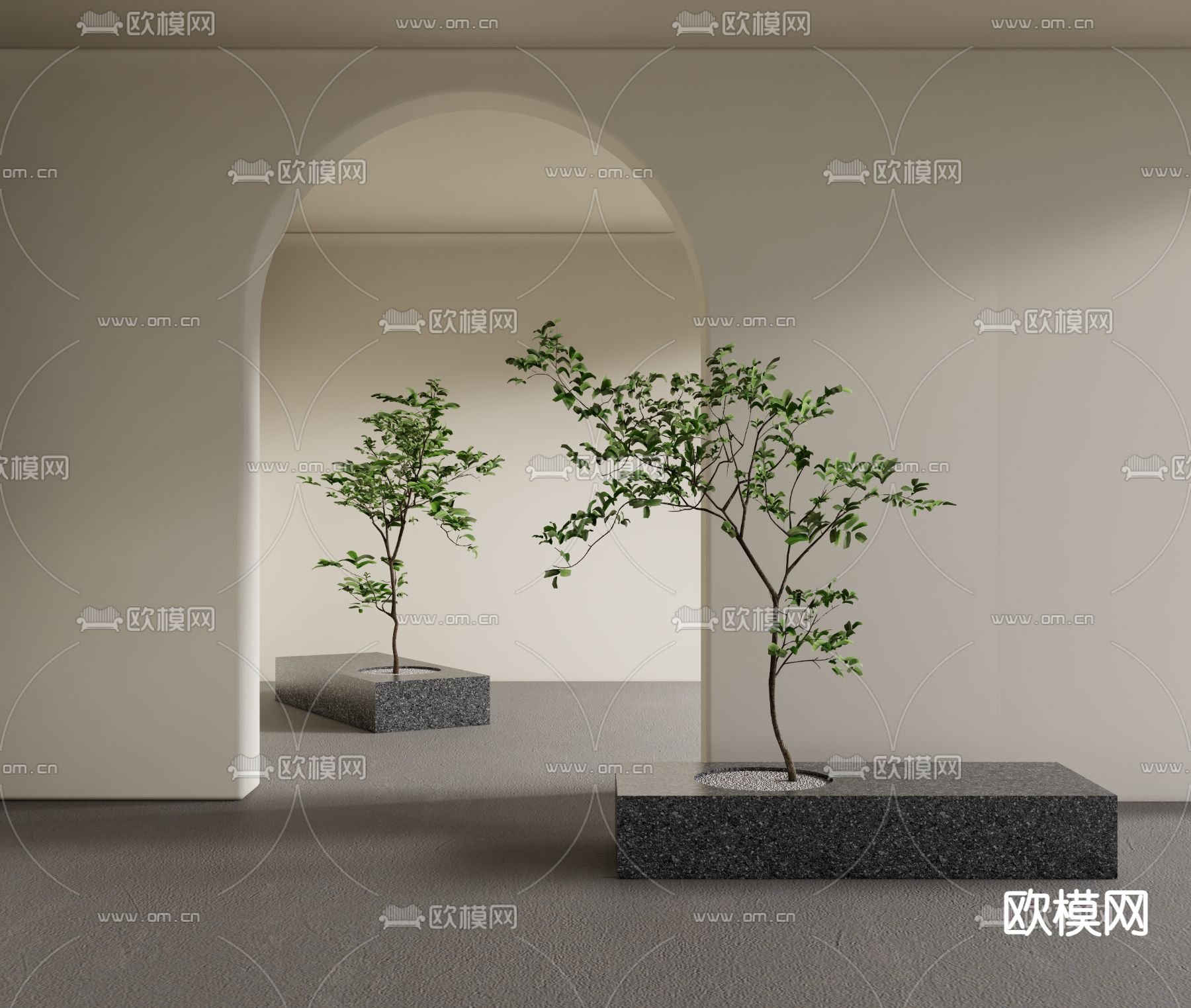 现代乔木 景观树su模型下载（渲染图1）