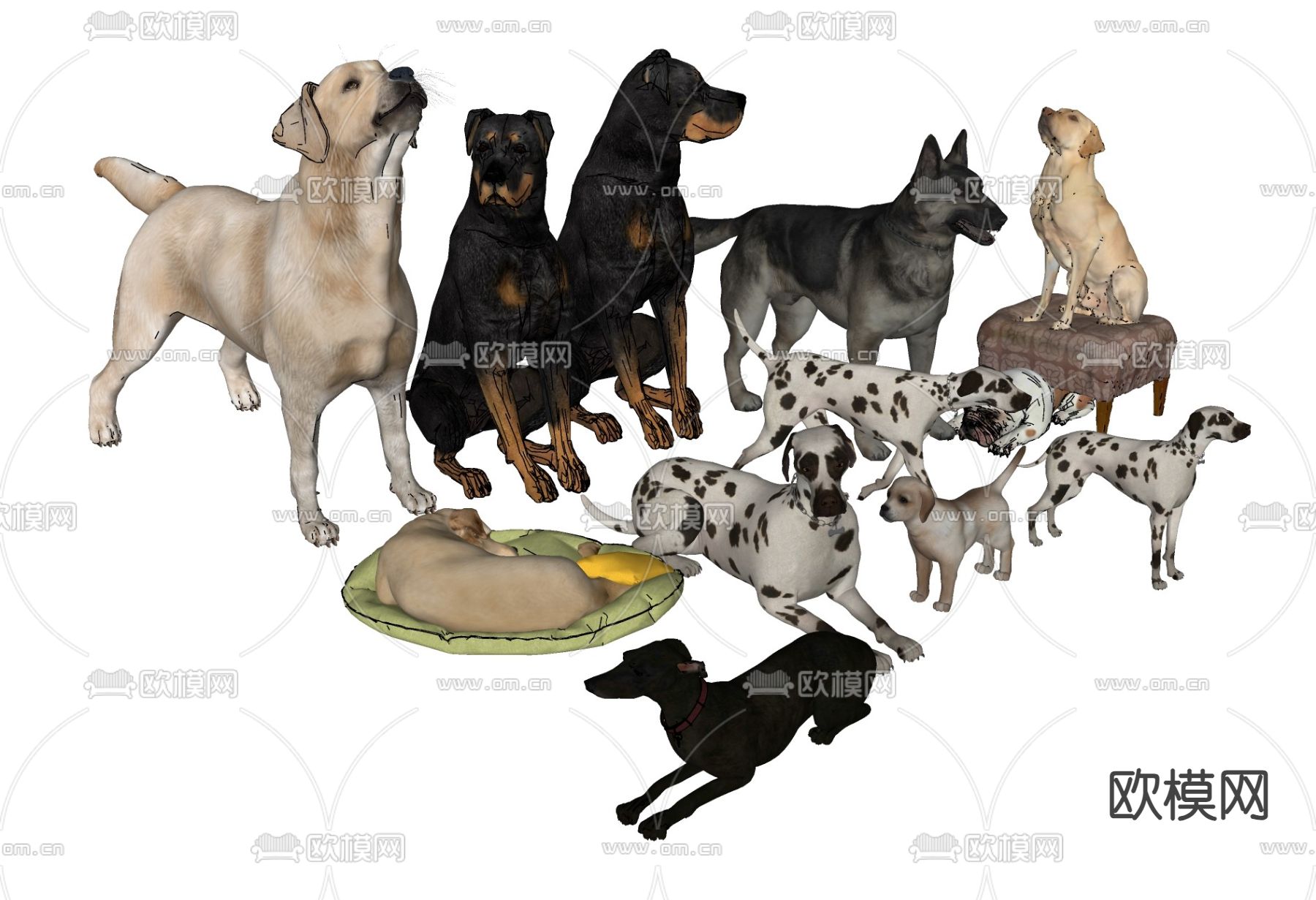 拉布拉多 斑点狗 黑贝犬su模型下载（渲染图2）