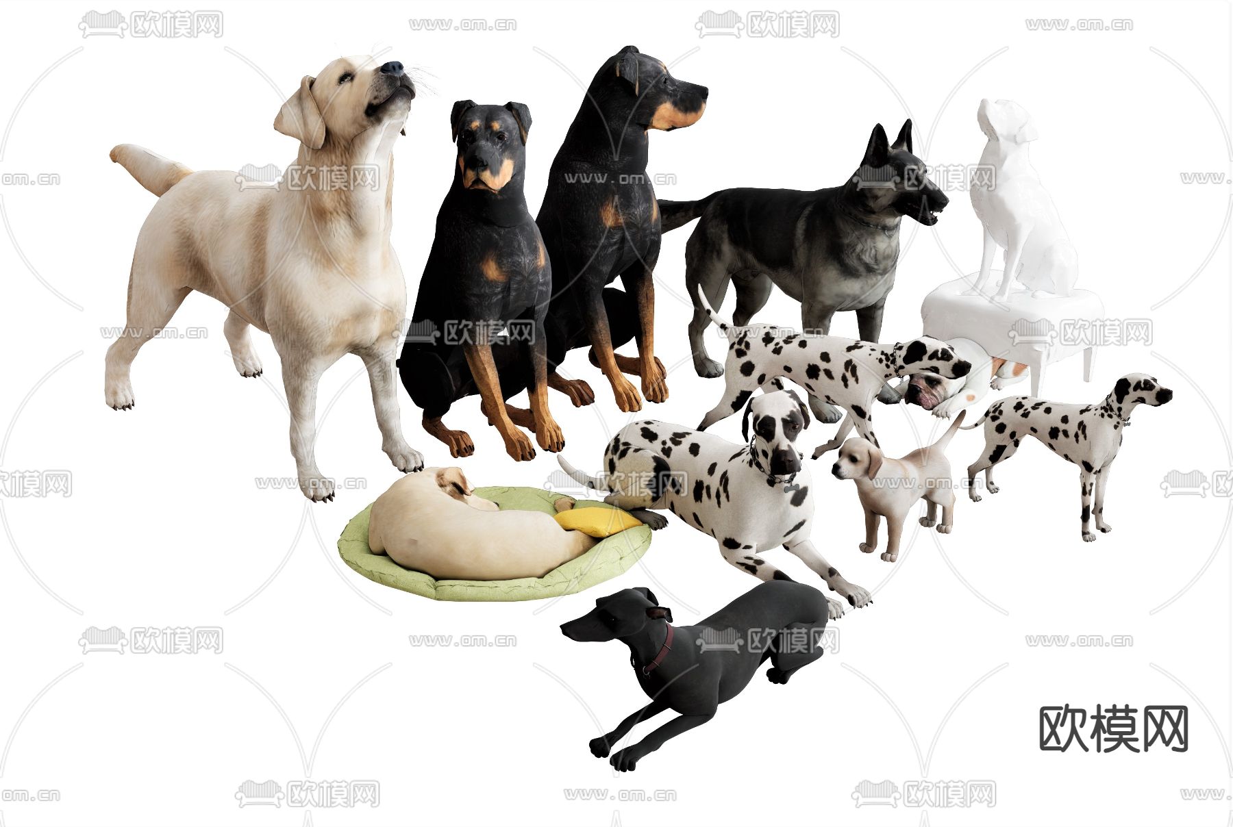 拉布拉多 斑点狗 黑贝犬su模型下载（渲染图1）