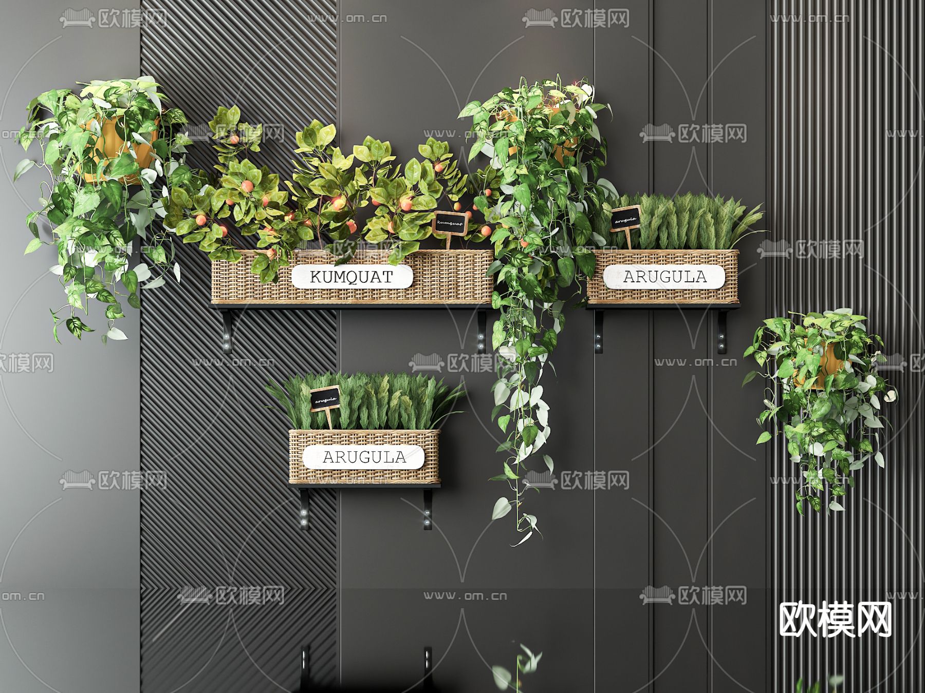 吊篮 悬挂绿植3d模型下载