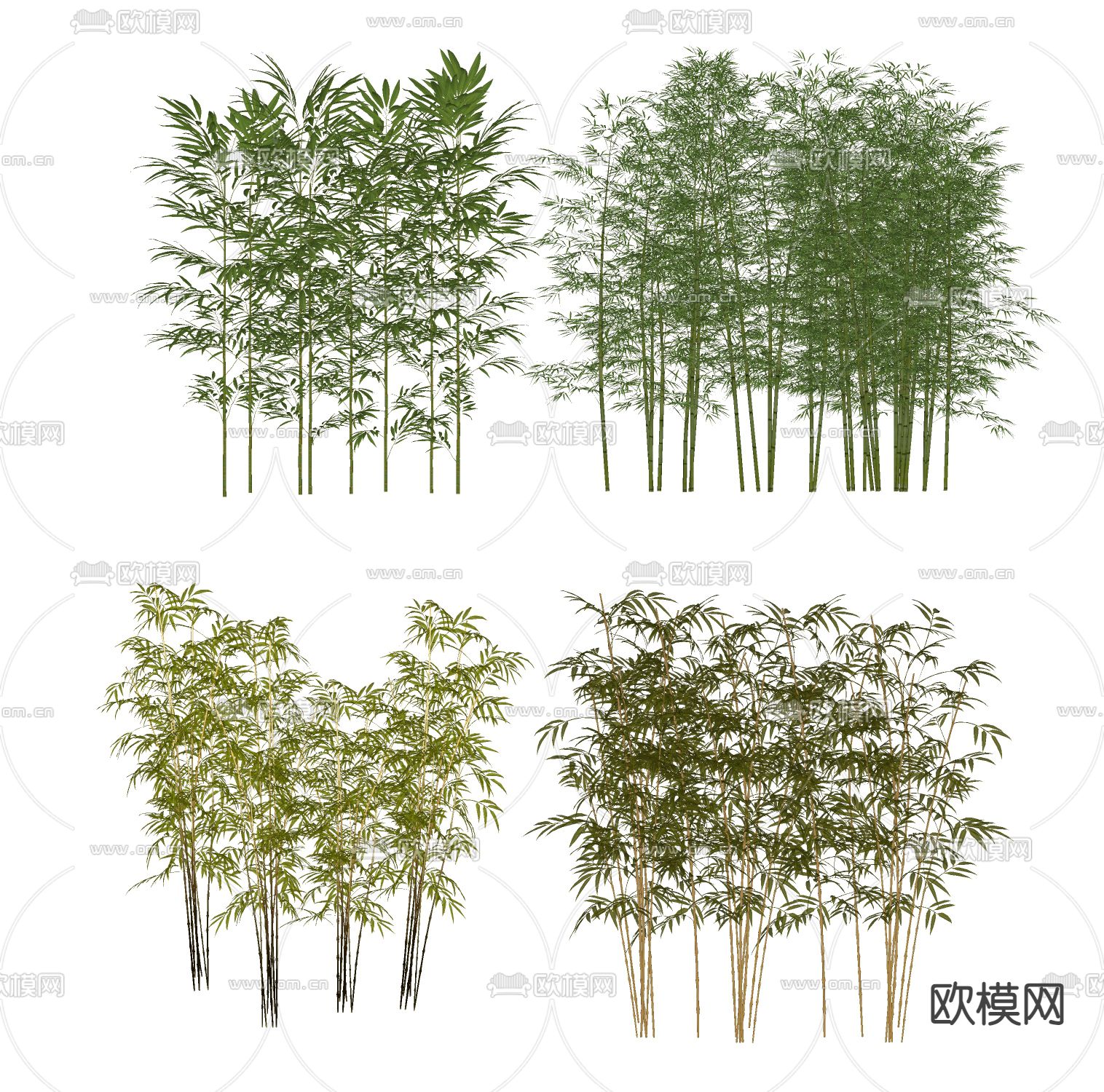 竹子su模型下载（渲染图2）