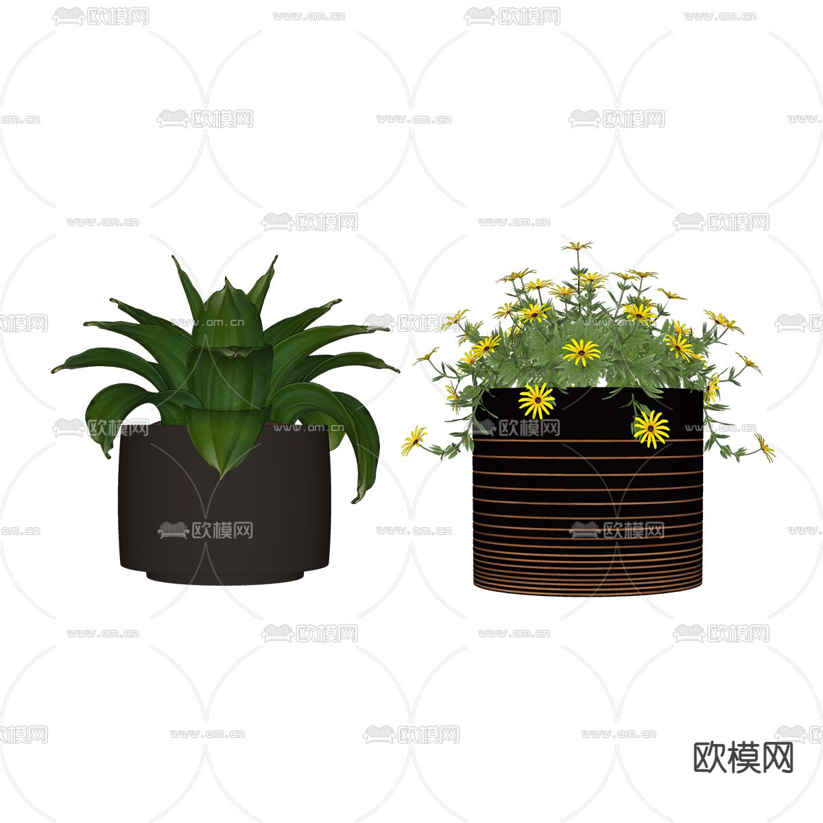 盆栽 盆景su模型下载（渲染图2）